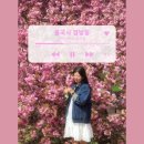 불국사 겹벚꽃 25.04.19.토 개화상태 방문시간 주차꿀팁 현지인후기