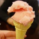 데.바수스 이미지