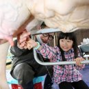 젖소목장 이미지