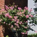 통기타기초(1년) 이미지