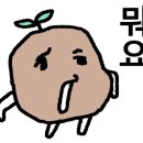 낭만과순정 이미지