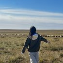 유한회사  제주사랑여행사 | [몽골] 우당탕탕 10월의 몽골 여행 준비 : 비행기/동행구하기/투어사