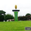 자연애민박 | [전남여행][완도한옥]자연애 &#34;무릉도원&#34; 한옥가에서...국제농업박람회 개최전 사진들입니다~[완도민박]