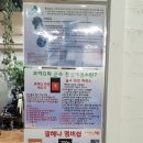 오해석두피헤어 네이버블로그