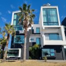 우리들애견 이미지