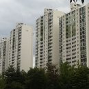 상록 매일경제