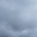 보우농장 이미지