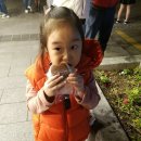 쵸코파이민박 네이버블로그