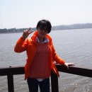 강릉경포그리고바다 이미지