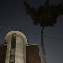 불도유치원 이미지