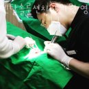 원덴탈솔루션치과의원 이미지