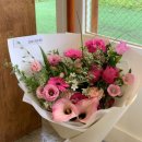 더피우리 이미지