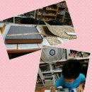 아트 클레이(6세 이상) 이미지