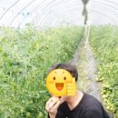 규영농장 이미지