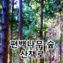 자연나무병원 이미지