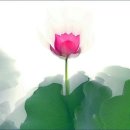 광덕3로 이미지