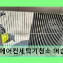 삼학동주민센터 | 목포에어컨세탁기청소 머슴홈케어 꼼꼼한 분해 청소와 친환경 서비스