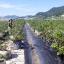 물레방아농장2 이미지