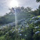이순신공원 바다화장실 이미지