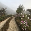 크로바펜션 이미지