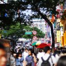 명동 이미지