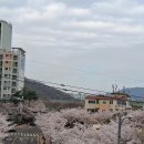 26.4.4.토.안양천 걷기 -천운검대장 이미지