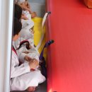 경희대태권도장 이미지