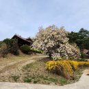 산천정사(山泉精舍) 이미지