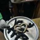 기장촌집 짚불곰장어 이미지