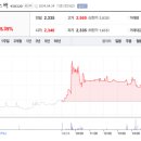 옐로씨매니지먼트