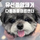 다올동물의료센터 망포점 | 수술, 수술전문동물병원, 다올동물의료센터, 망포동물병원, 수원동물병원, 영통동물병원, 동탄동물병원