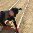 남부민초등학교 이미지