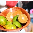 백록농장 이미지