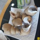 성해수산 이미지