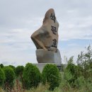 석문방조제 자귀나무 이미지