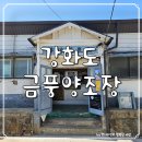 강화도 여행 :: 100년 역사의 막걸리 금풍양조장 후기 (ft. 주차장)