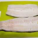 바다&장어 이미지