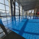 탐모라 수영장 이미지