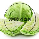 송림식품 이미지