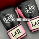 복싱그자체 | 복싱 글러브 추천 [LAD] 라드 말총 글러브 10온스 구매 후기