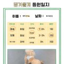 댕겨올개 이미지