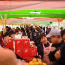 해안면힐링하우스 이미지