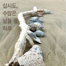 하루를담다