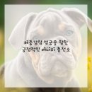 헬스라이프 이미지