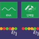 국민바이오메디칼