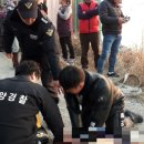 완도바다소리 이미지