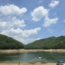 미라실로 네이버블로그