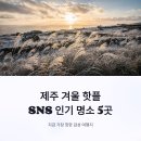 핫플 티스토리