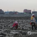 간월도어촌계 이미지