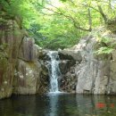 신화목욕탕 이미지